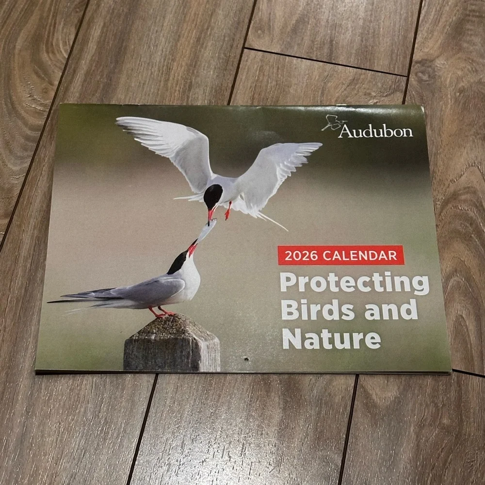 Audubon Society 2026 Protecting Birds & Nature 16 Month Calendar